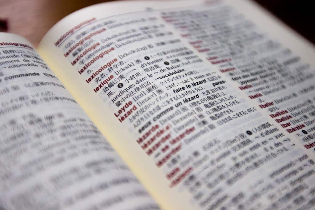 Lexique des termes japonais